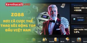 Zo88 - Nơi Cá Cược Thể Thao Sôi Động Top Đầu Việt Nam